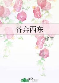 偶像老师只写了偶像这种作文题目有没有没有偏题？游戏画面